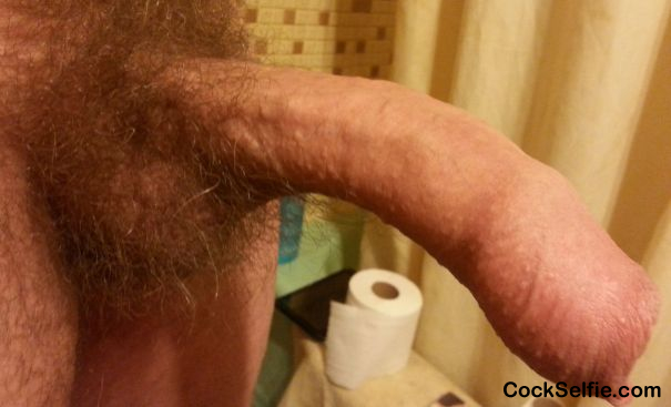 Would You suck this cock ?? - Cock Selfie