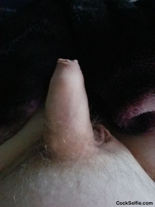  - Cock Selfie