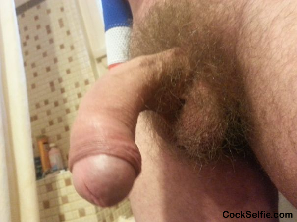 Would You suck this cock ?? - Cock Selfie