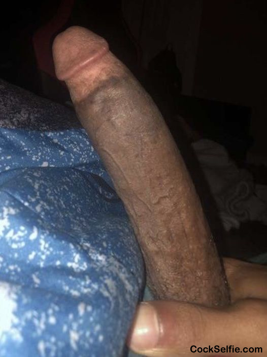  - Cock Selfie