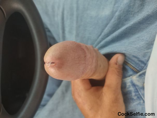 Long hard white dick - Cock Selfie