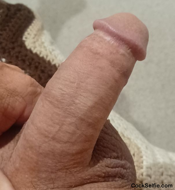  - Cock Selfie