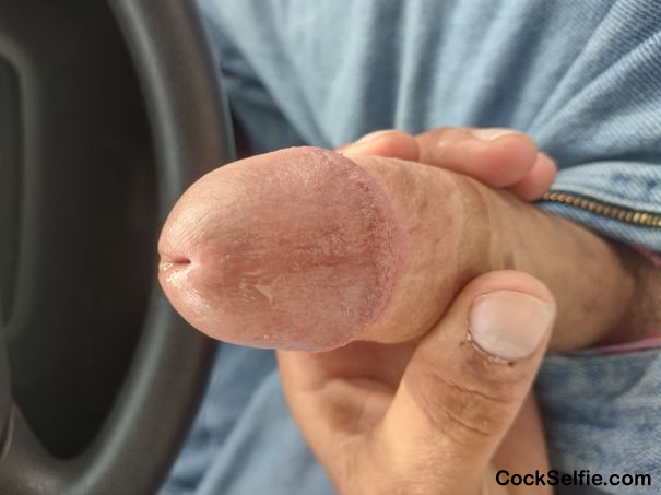 Long hard white dick - Cock Selfie