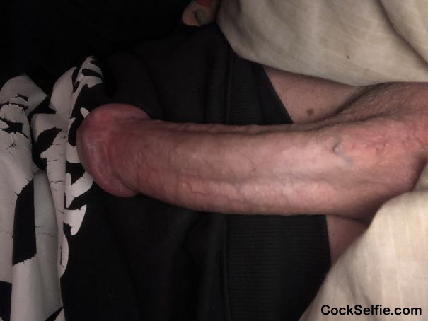  - Cock Selfie