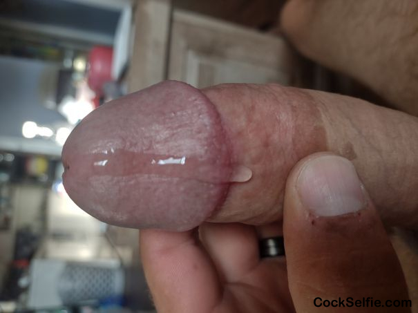 Long hard white dick - Cock Selfie