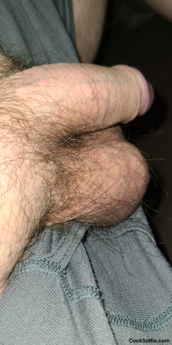  - Cock Selfie