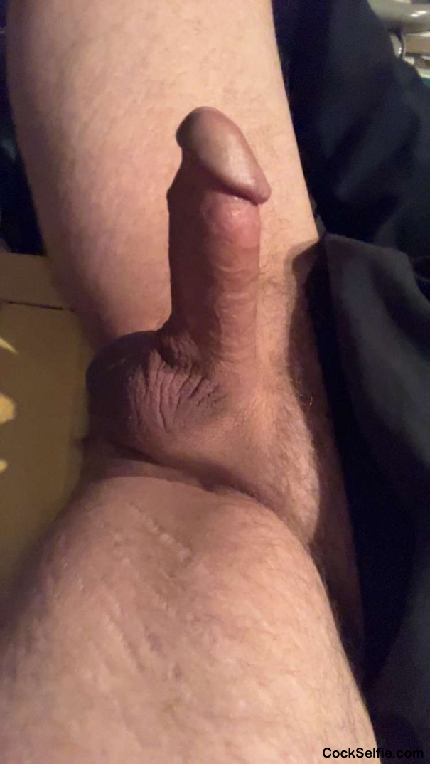  - Cock Selfie