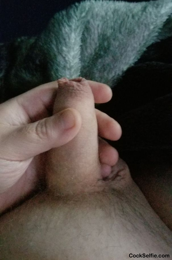 My normal size - Cock Selfie