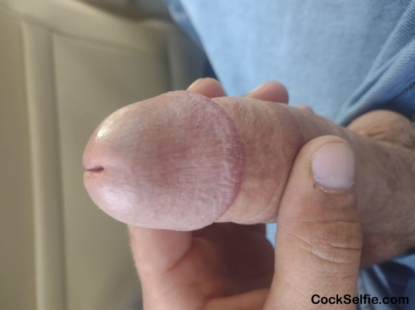 Long hard white dick - Cock Selfie