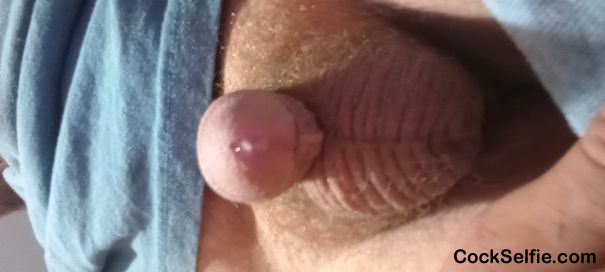  - Cock Selfie