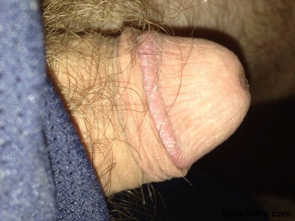 Ready to sreah you out - Cock Selfie