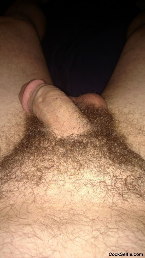 Anyone wanna play - Cock Selfie