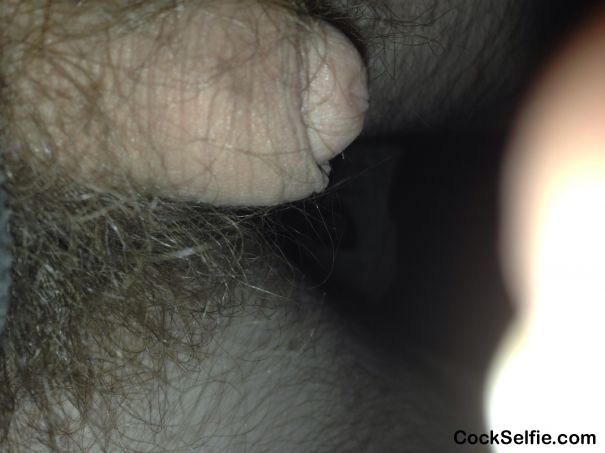 Flacid with nuts - Cock Selfie