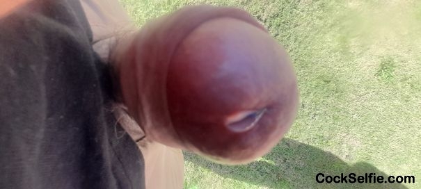 Getting turned on by all this pussy and cock - Cock Selfie