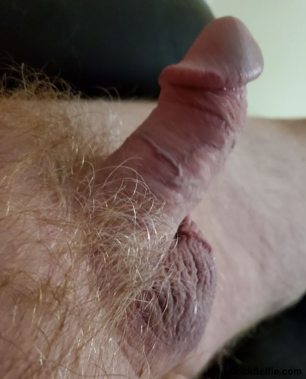 Need something very very tight for my microcock erection - Cock Selfie