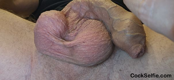 Full balls - Cock Selfie