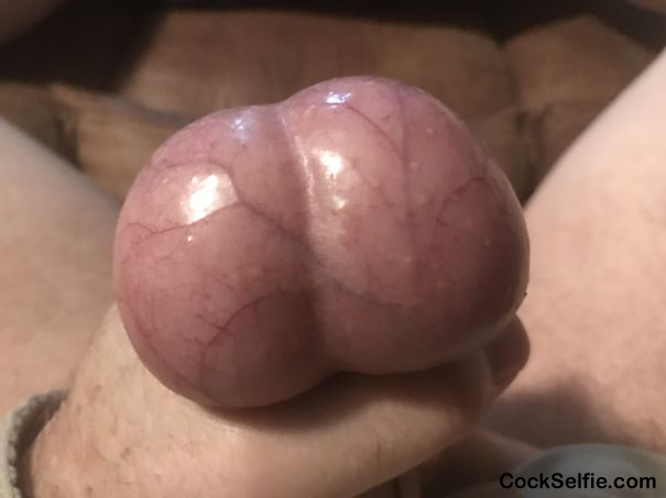 Who want eggs - Cock Selfie