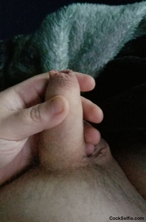 My normal size - Cock Selfie