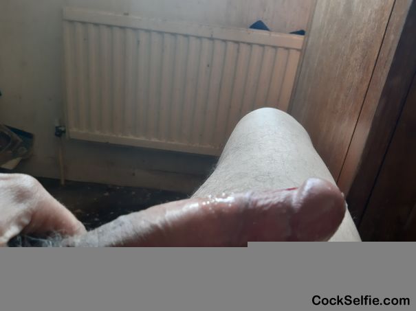  - Cock Selfie