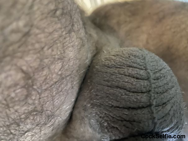 My nice balls - Cock Selfie