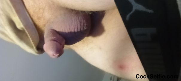  - Cock Selfie