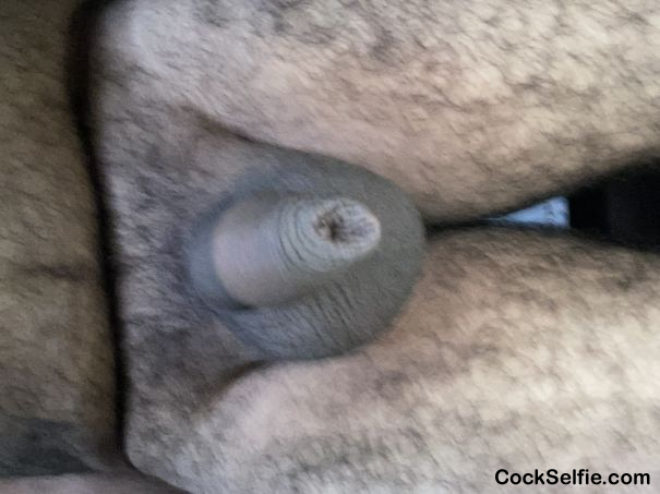 My soft cock . - Cock Selfie