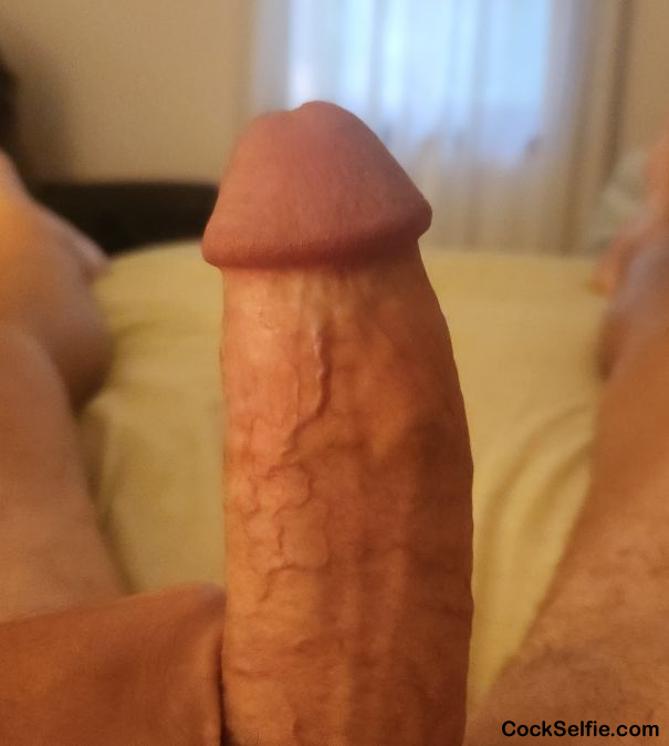 Hard - Cock Selfie