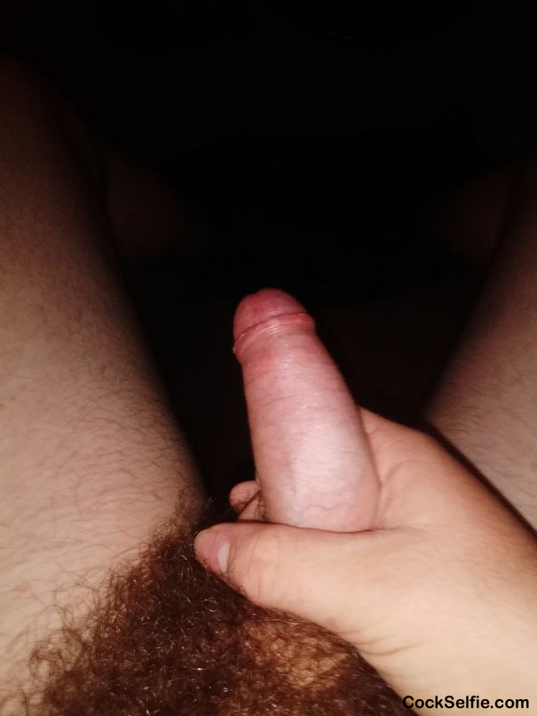  - Cock Selfie