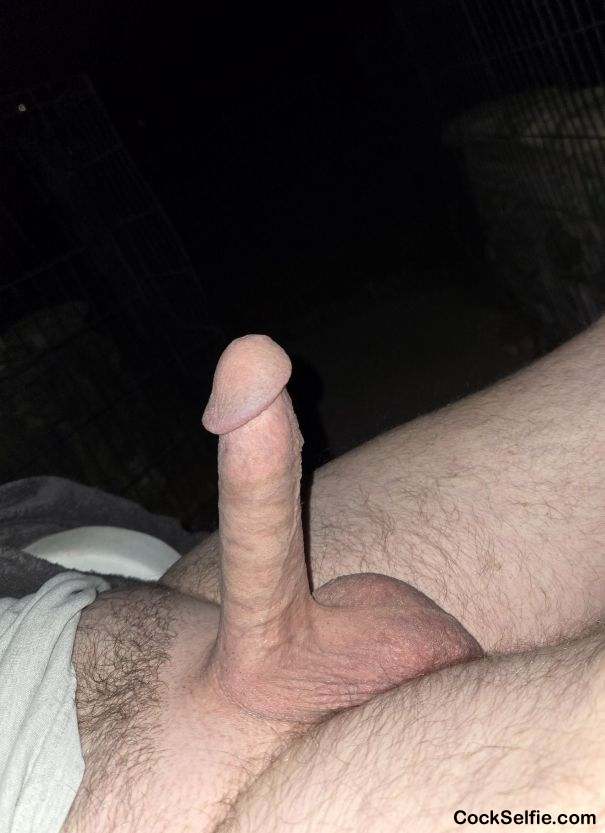 Up to you - Cock Selfie