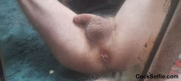  - Cock Selfie