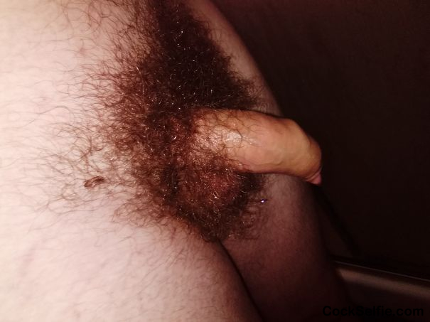 Cock fresh out of the shower - Cock Selfie