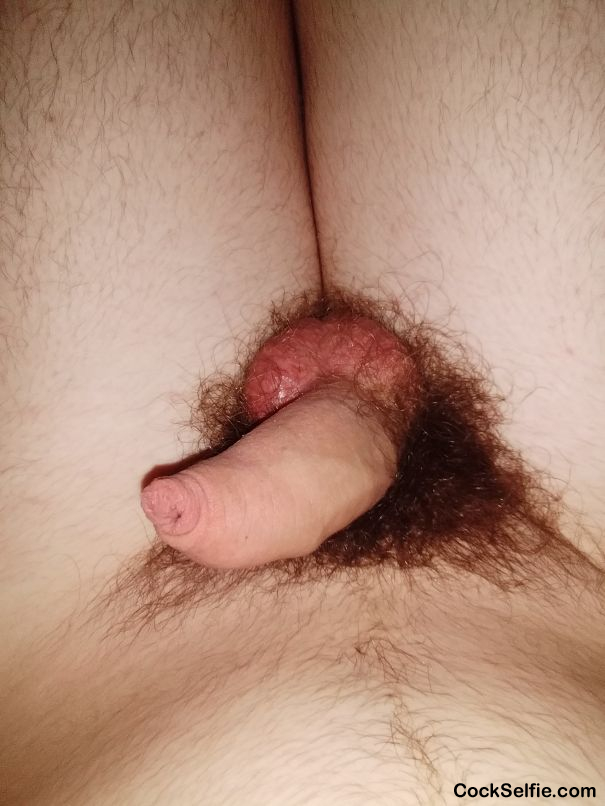  - Cock Selfie