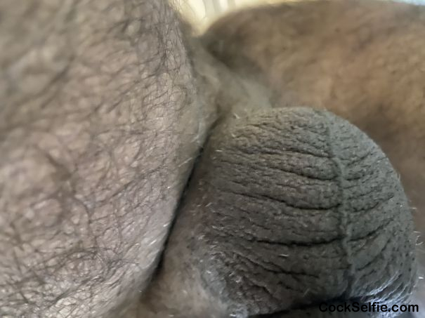 My nice balls - Cock Selfie