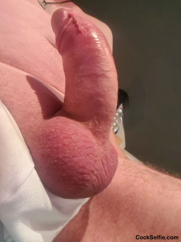  - Cock Selfie