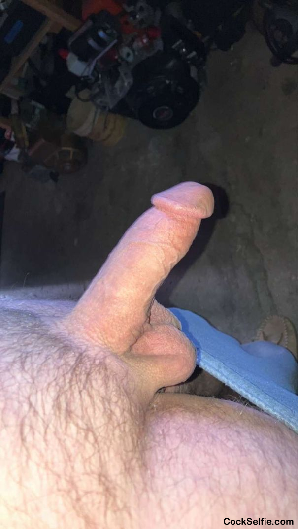 Suck me? - Cock Selfie