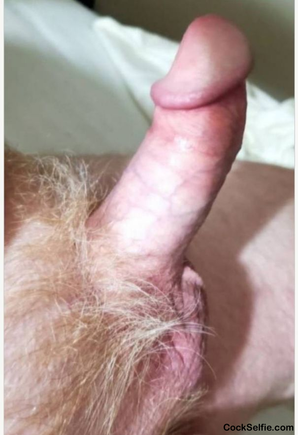 Anyone like my erect cock? - Cock Selfie