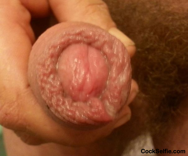 A little something for the foreskin lovers... - Cock Selfie