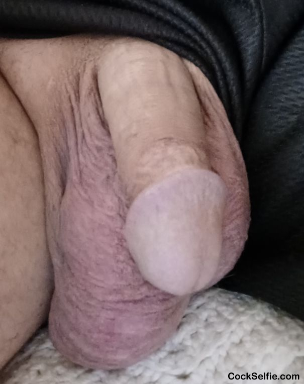  - Cock Selfie