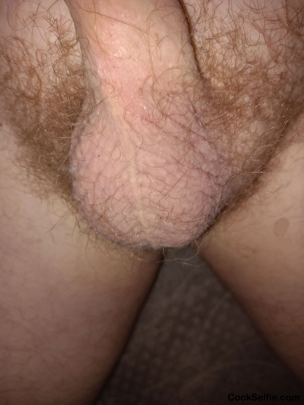 Balls - Cock Selfie