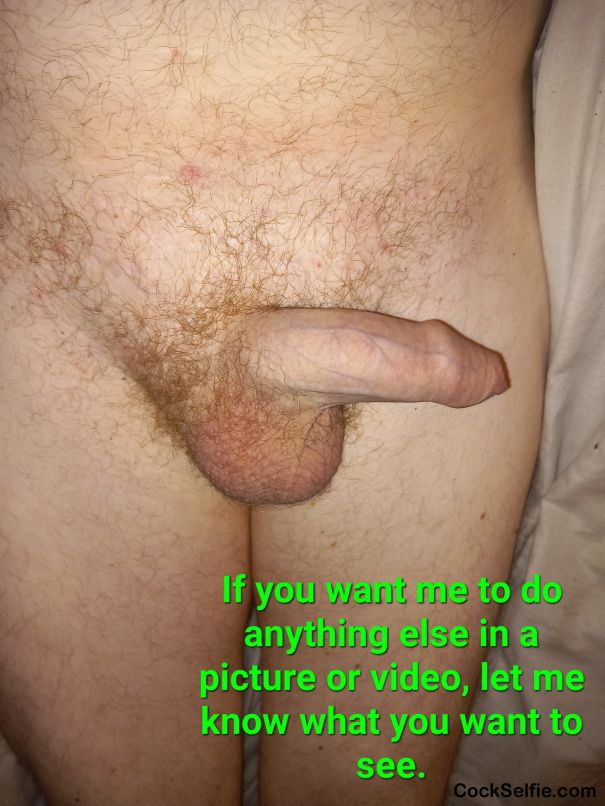 Message me with what you want me to show or do! - Cock Selfie