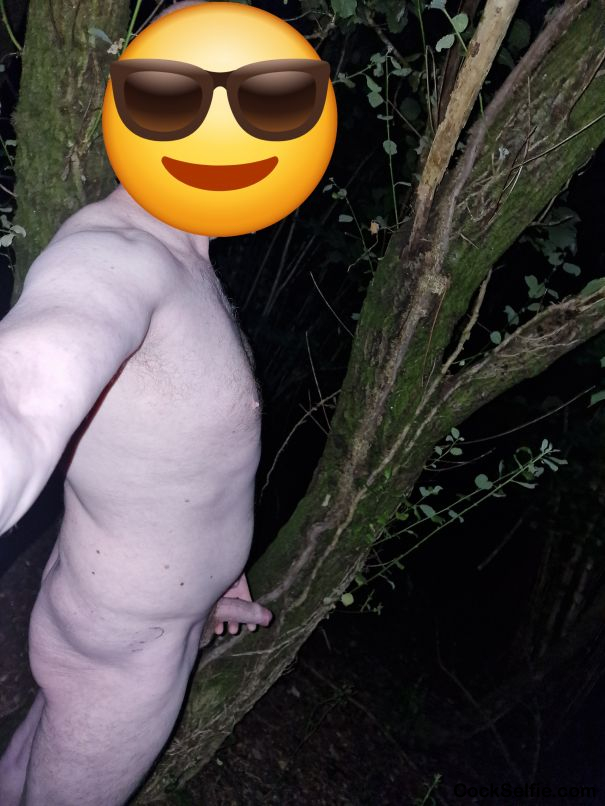 Woods - Cock Selfie