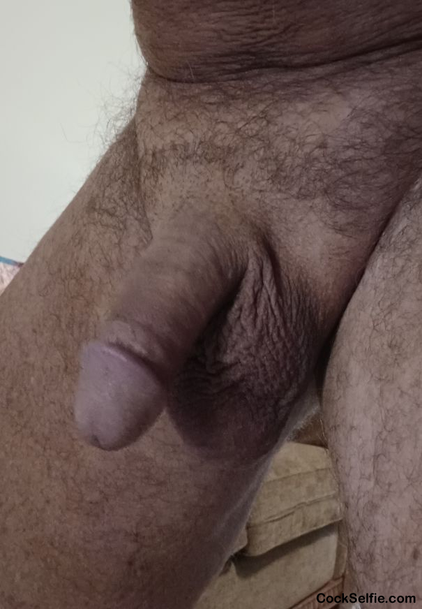  - Cock Selfie