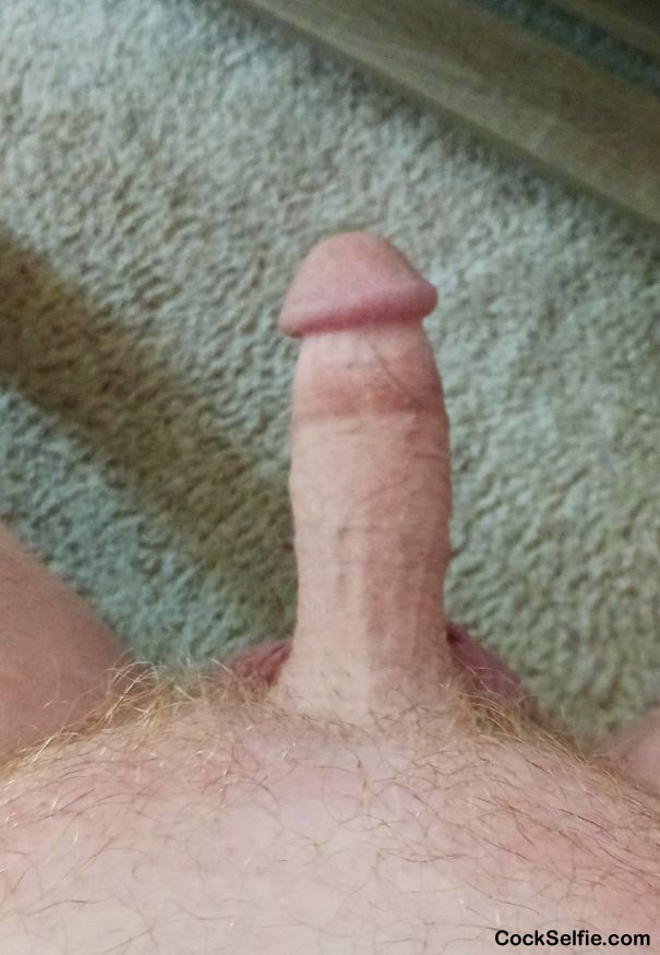 Could use a hjob - Cock Selfie