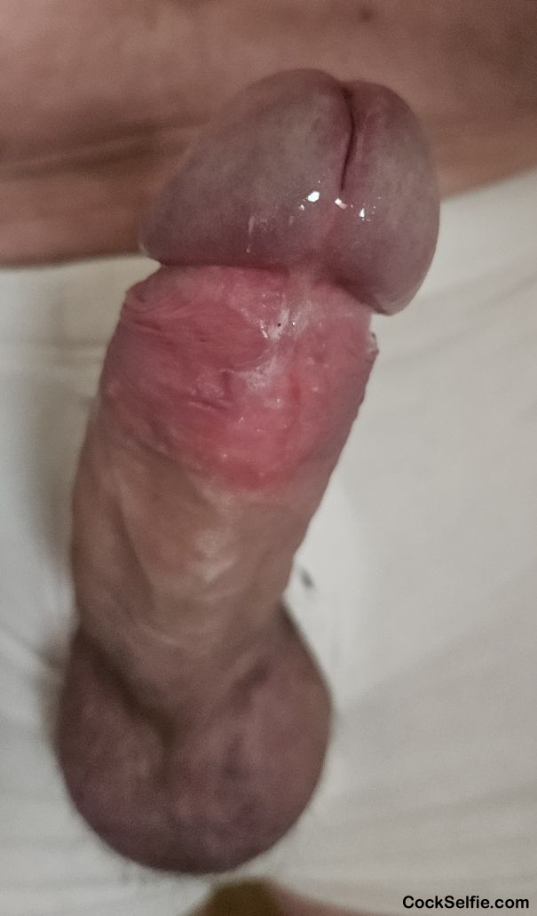 Mein harter Penis - Cock Selfie