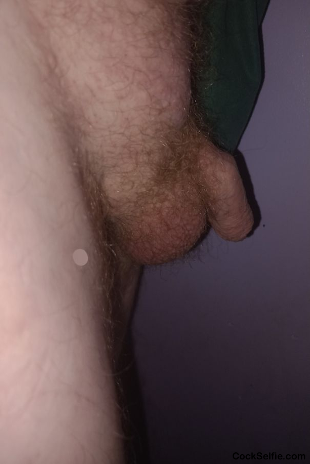 Little Dick Side - Cock Selfie