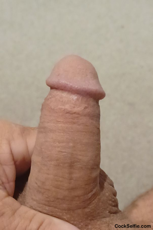  - Cock Selfie