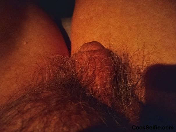  - Cock Selfie