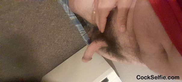  - Cock Selfie