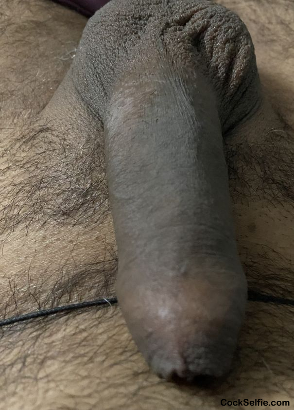 Morning - Cock Selfie