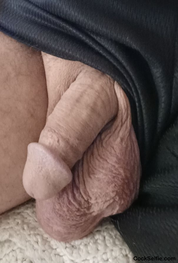  - Cock Selfie